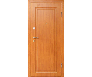 Тамбовские двери - дверь ТД-09