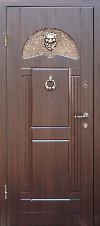 Тамбовские двери - дверь ТД-01