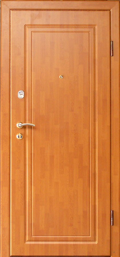 Тамбовские двери - дверь ТД-09